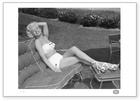 Marilyn Monroe: Lawn Session 4