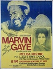 Marvin Gaye: Oakland 1977