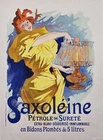 Saxoleine, Plate 13, (Framed)