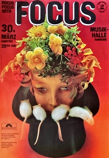 Focus: Hamburg 1974