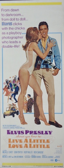 Live a Little, Love a Little