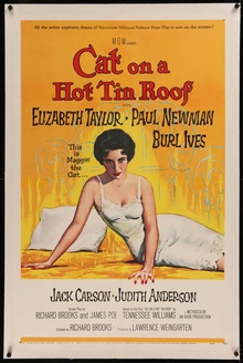 Cat On A Hot Tin Roof