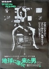 The Man Who Fell To Earth