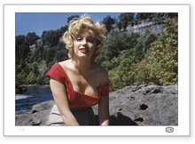 Marilyn Monroe: Niagara 3