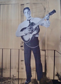 It Happened At The World's Fair