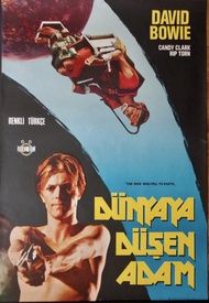 The Man Who Fell To Earth