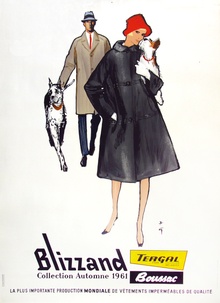 Blizzand (Dogs)
