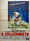 The Collector