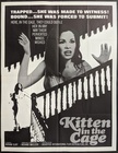 Kitten In The Cage
