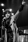 Prince Live 1983 #4
