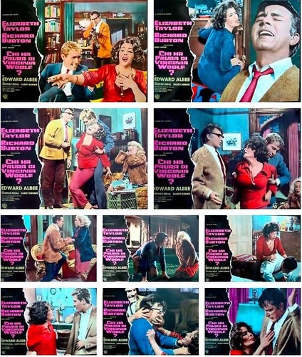 Who's Afraid Of Virginia Woolf?