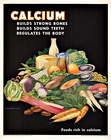 CALCIUM - Foods rich in Calcium