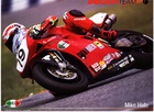 Ducati Team Mike Hale - | Motorcycle