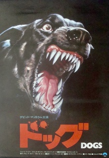Dogs