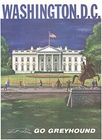 Washington (D.C.) Go Greyhound original poster