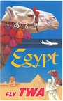 EGYPT FLY TWA - Camel