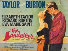 The Sandpiper