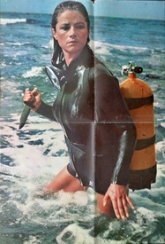 Orca