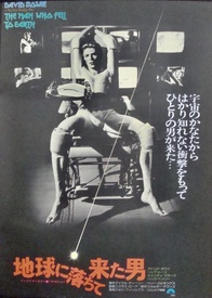 The Man Who Fell To Earth