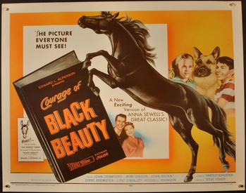 Courage Of Black Beauty