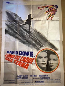 The Man Who Fell To Earth