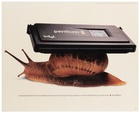 Apple Think Different - Snail