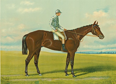 Foxhall Jockey and Horse