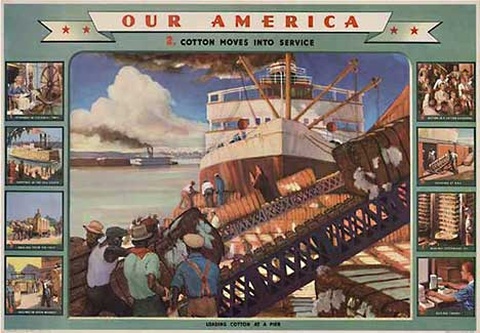 Our America Cotton # 1, Producing Cotton