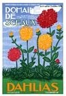 DAHLIAS DOMAINE DE SCEAUX