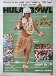 Beach Boys: Hawaii 1988