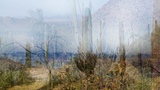 Saguaro Park