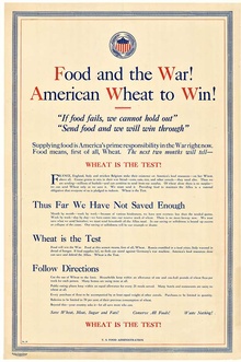 FOOD AND THE WAR!  Wheat to Win!