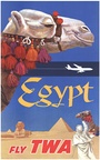 EGYPT FLY TWA - Camel