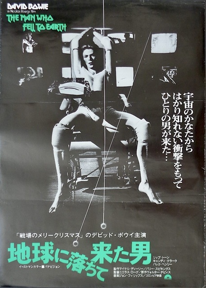 The Man Who Fell To Earth
