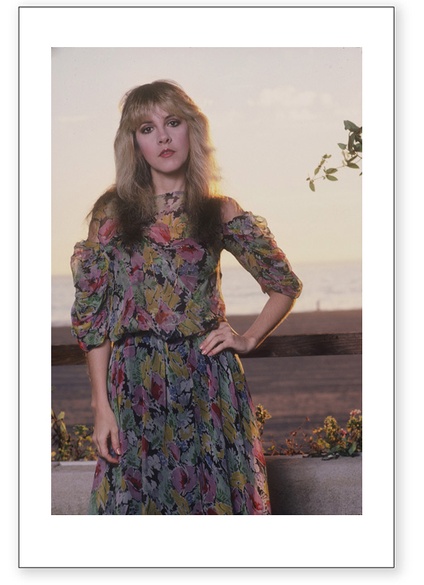 Stevie Nicks