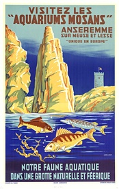 Aquariums Mosans - tropical fish - travel