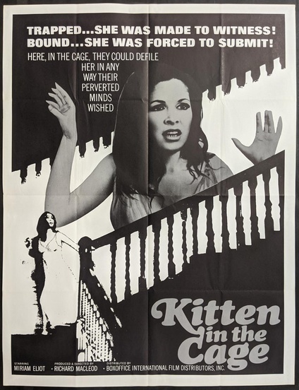 Kitten In The Cage