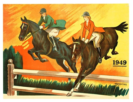 Horse Jumping Steeple Chase