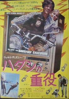 The Barefoot Executive