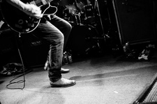 Swans