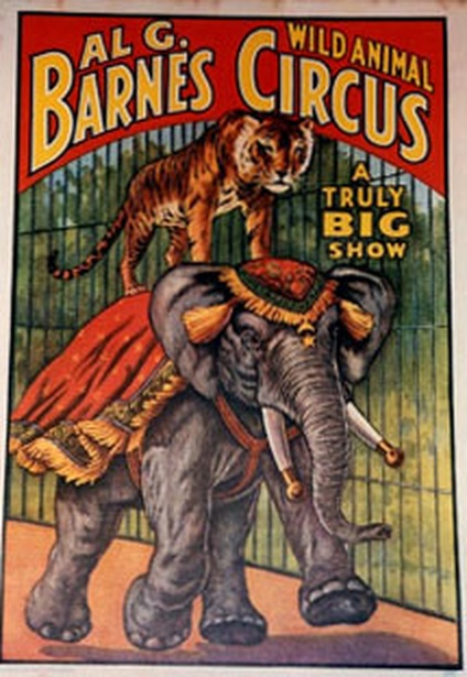 A Truly Big Show | Wild Animal Circus