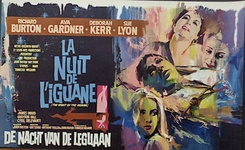 The Night of the Iguana