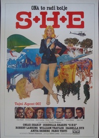 S+H+E: Security Hazards Expert