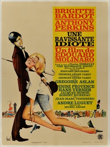 The Ravishing Idiot