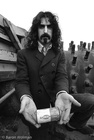 Frank Zappa Ideal
