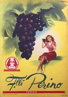 Perino Torino  Carton in door display