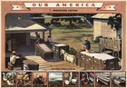 Our America Cotton # 1