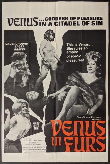 Venus in Furs