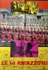 The 14 Amazons