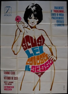 Excuse Me, Do You Like Sex?